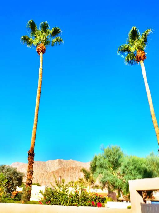 La Bella Palms La Quinta Exterior photo